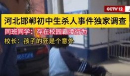 襄阳独家爆料事件视频,事件视频揭秘惊人真相