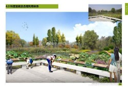 安徽公园爆料最新消息,揭秘神秘事件背后的真相